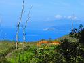 ELBA2019 (217)